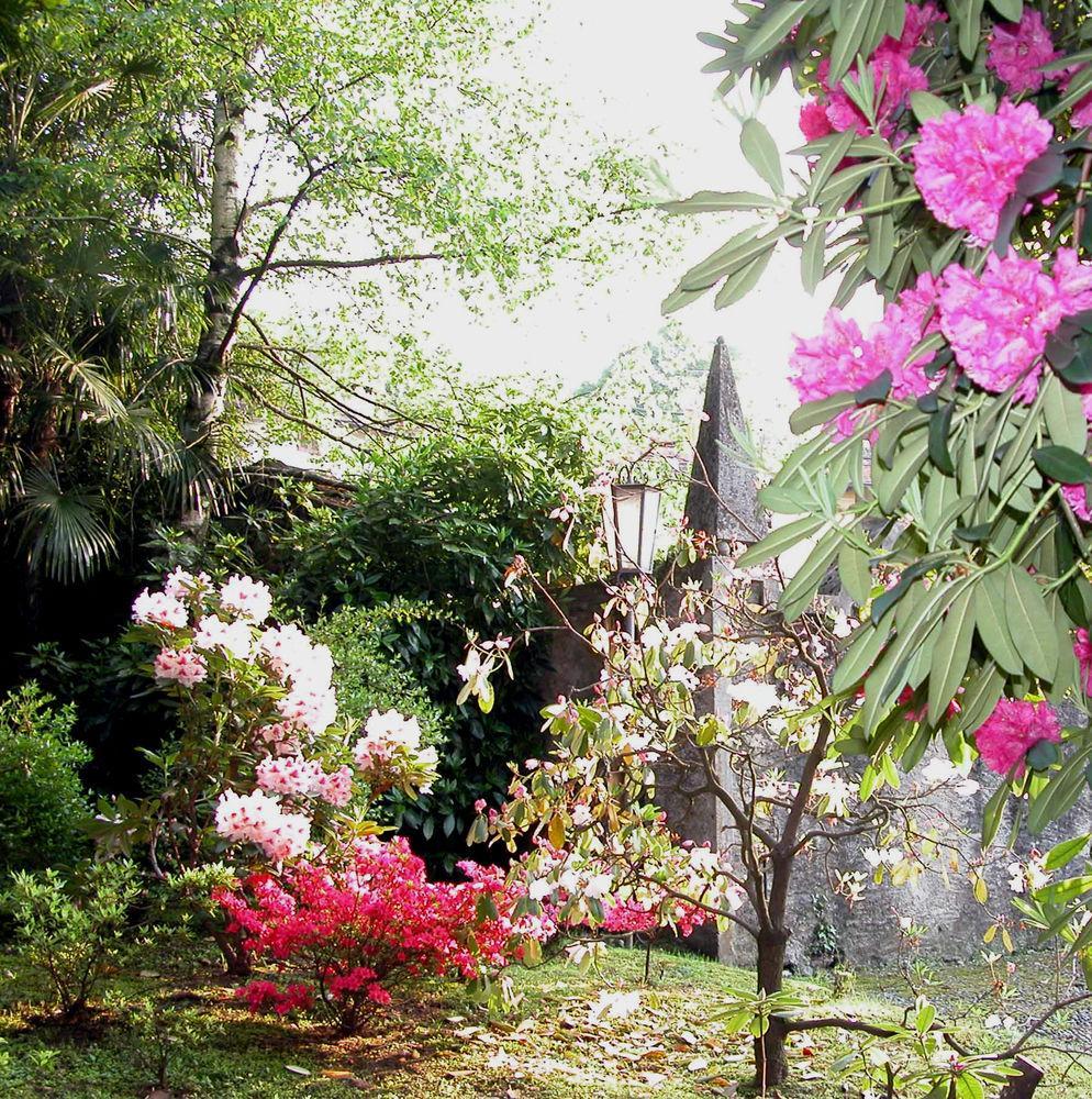 Du Parc Hotel Lake Maggiore Exterior foto