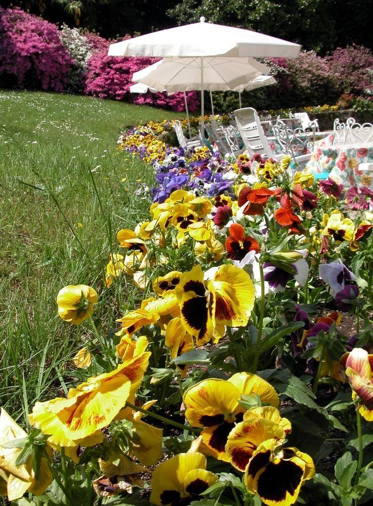 Du Parc Hotel Lake Maggiore Exterior foto