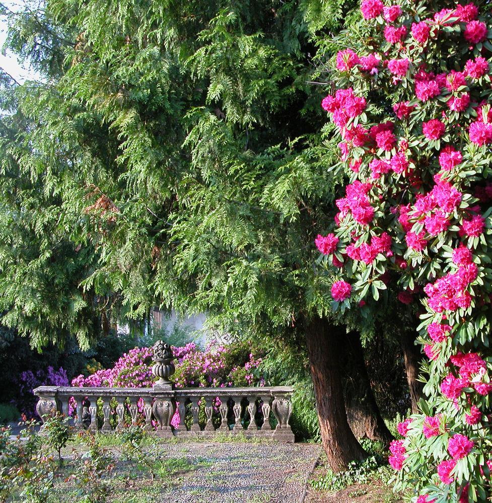 Du Parc Hotel Lake Maggiore Exterior foto