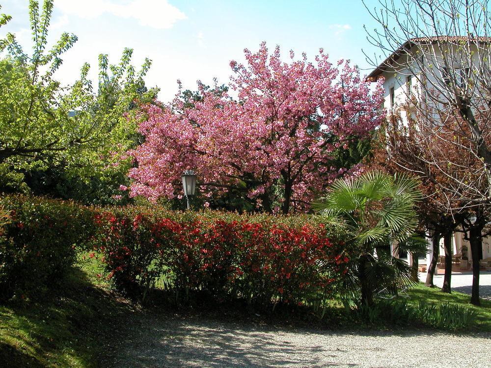 Du Parc Hotel Lake Maggiore Exterior foto